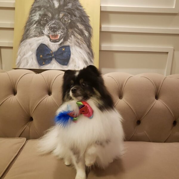 Presente-dia-namorados-original-pintura-pets