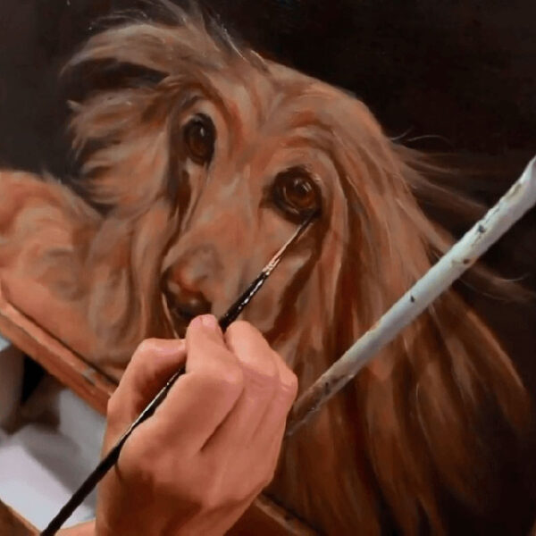 Carolina Rocha, artista, em entrevista sobre arte e ajuda a animais.