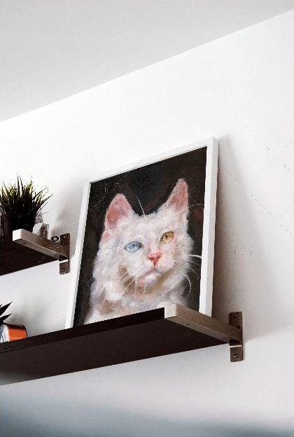 Quadros de gatinhos para decoração