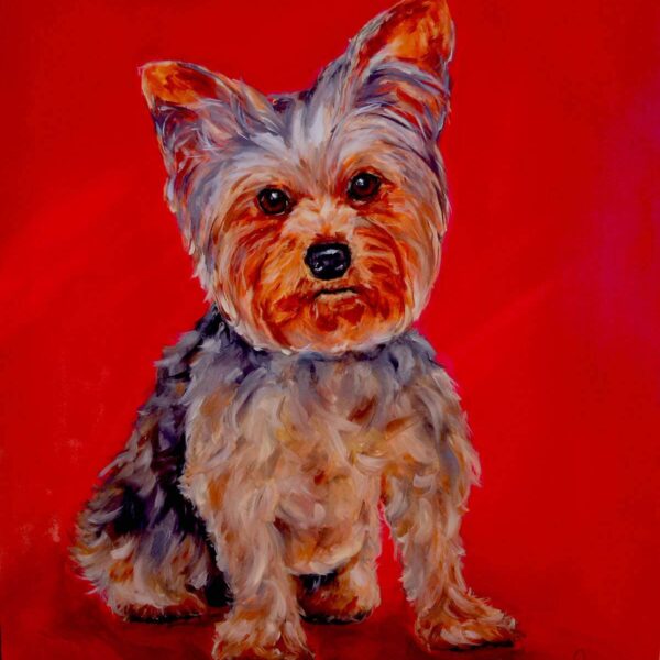 Pintura personalizada por encomenda de york shire