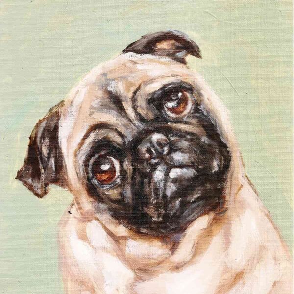 Quadro de pug