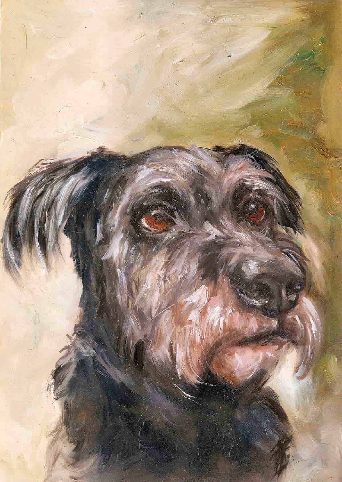 Pintura de pets sob encomenda