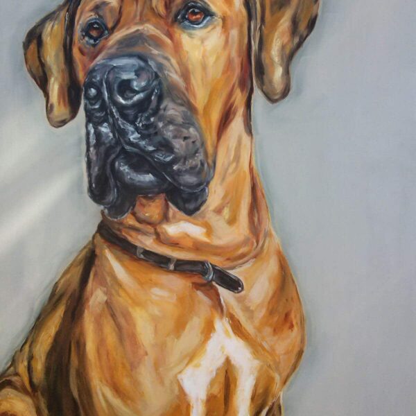 Dogue alemão em quadro realista sob encomenda