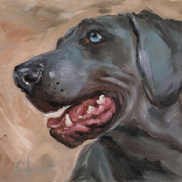 Quadro realista de weimaraner pintura pet
