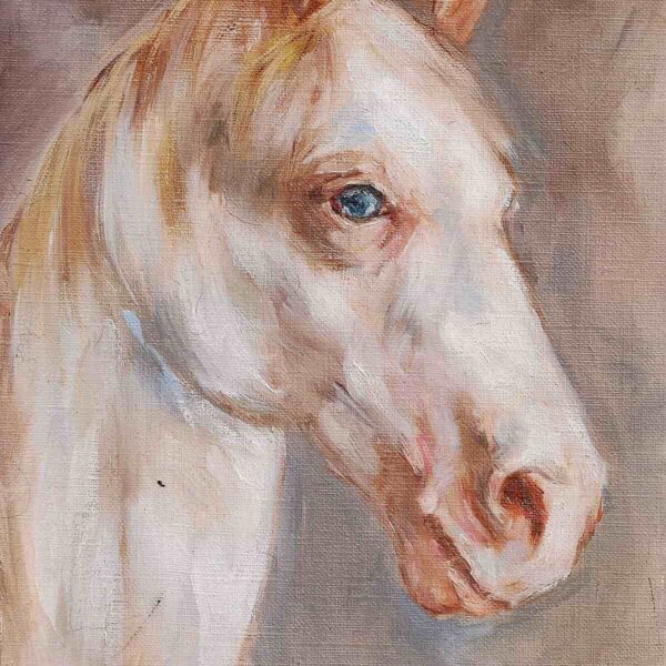 Cavalos brancos quadros personalizados