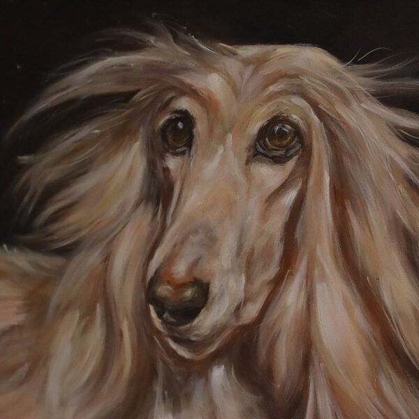Afghan hound pintura realista em tela