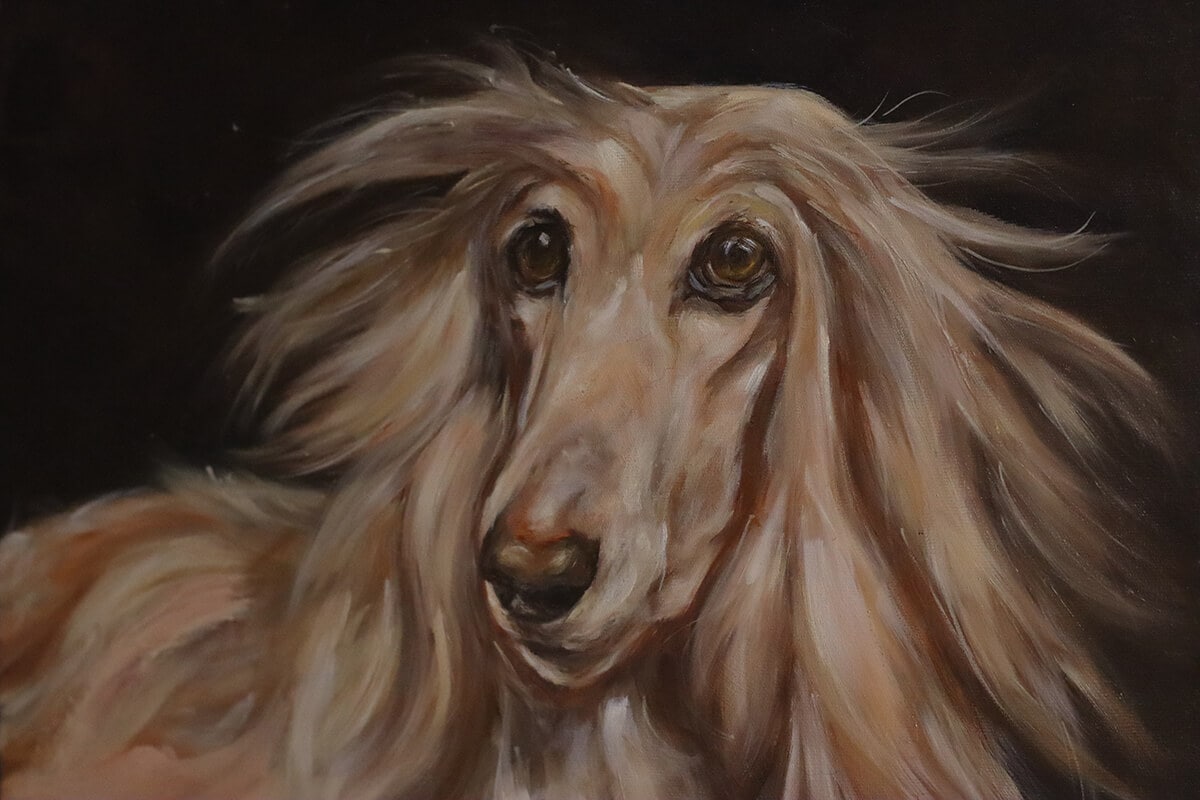 Afghan hound pintura realista em tela
