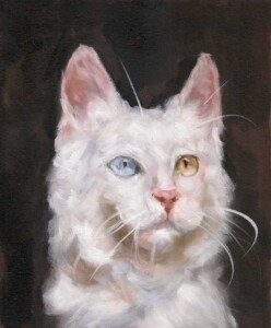 Quadro realista de gatos personalizados