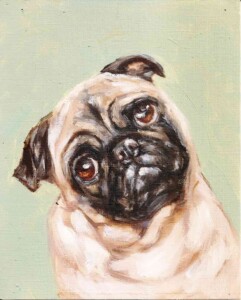 Quadro de pug