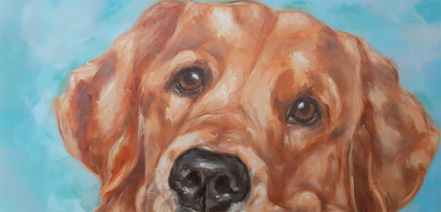 Artistas que pintam animais de estimação golden labrador