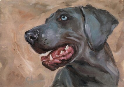 Quadro realista de weimaraner pintura pet