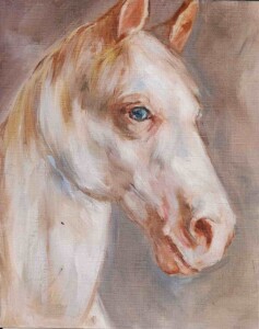 Cavalos brancos quadros personalizados