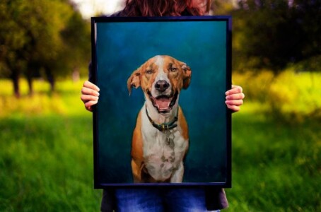 Presente criativo e especial para surpreender