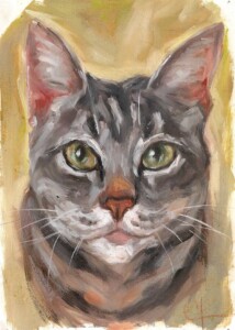 Pintura quadro pet gato